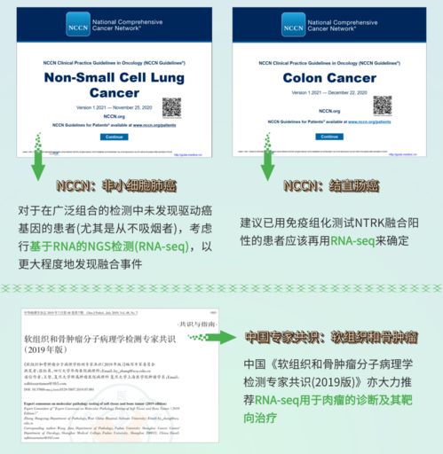 融二為一，精準抗癌 燃石醫(yī)學DNA+RNA雙檢測賦能實體瘤患者——論文解讀肝癌血漿microRNA標志物檢測報告系統(tǒng)