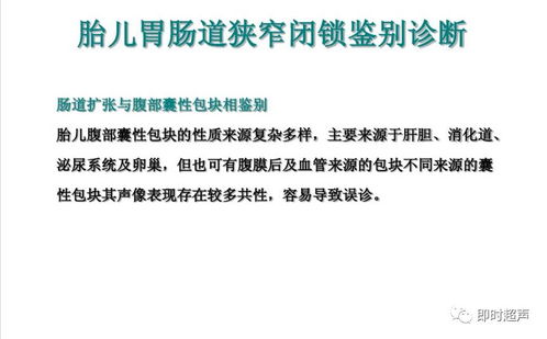 胎兒消化系統(tǒng)超聲檢查與肝癌血漿microRNA標志物檢測報告系統(tǒng)的綜合應用